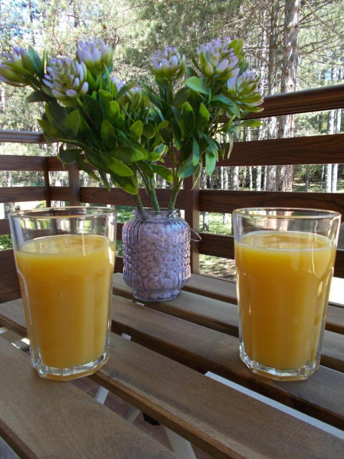 Casa Di Stefano Apartment & Spa Zlatibor Eksteriør billede