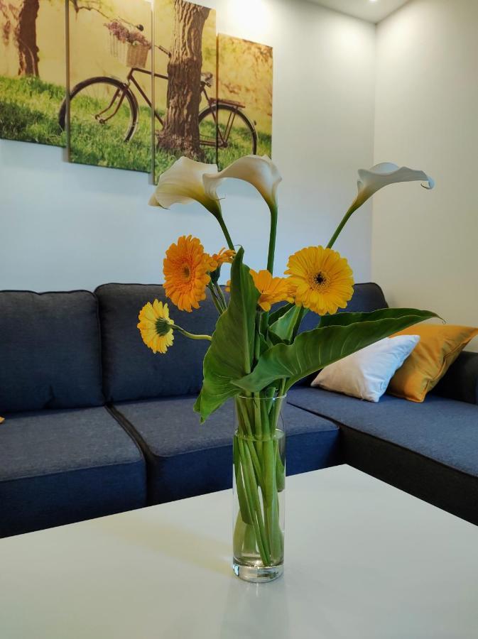 Casa Di Stefano Apartment & Spa Zlatibor Eksteriør billede